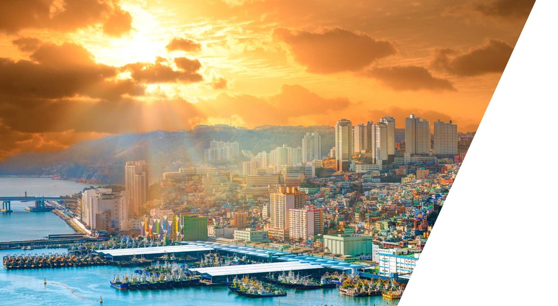 Sunset View over the City Busan