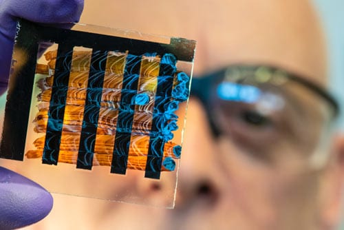 a scientist is looking at a sample