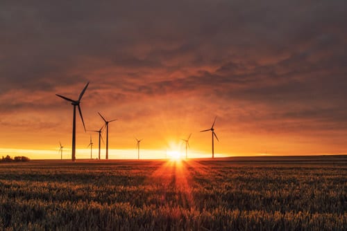 a big field with wind turbines
