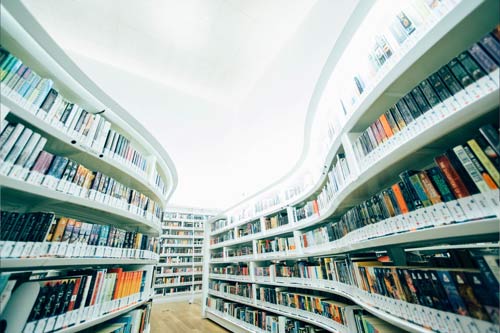white shelves filled with books