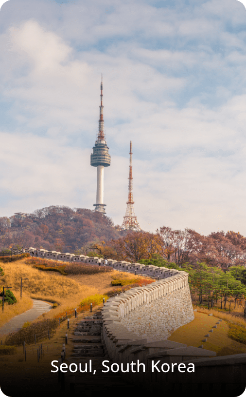 Brick wall in the foreground with the Seoul Namsan Tower (N Seoul Tower) rising in the background under a clear sky.